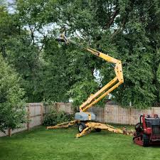 Best Arborist Consultation Services  in Surf City, NJ