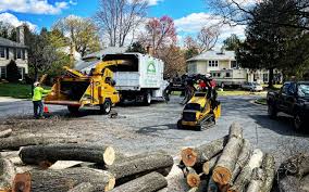 Best Arborist Consultation Services  in Surf City, NJ