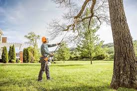 Best Storm Damage Tree Cleanup  in Surf City, NJ