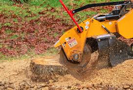 Best Tree Cabling and Bracing  in Surf City, NJ