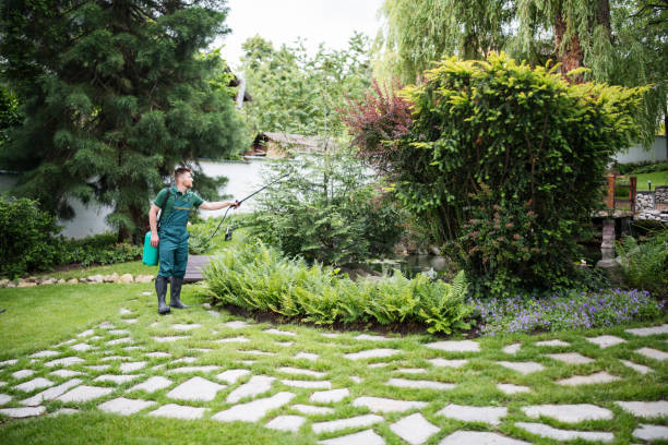 Tree and Shrub Care in Surf City, NJ
