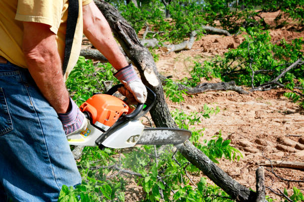 Best Firewood Processing and Delivery  in Surf City, NJ